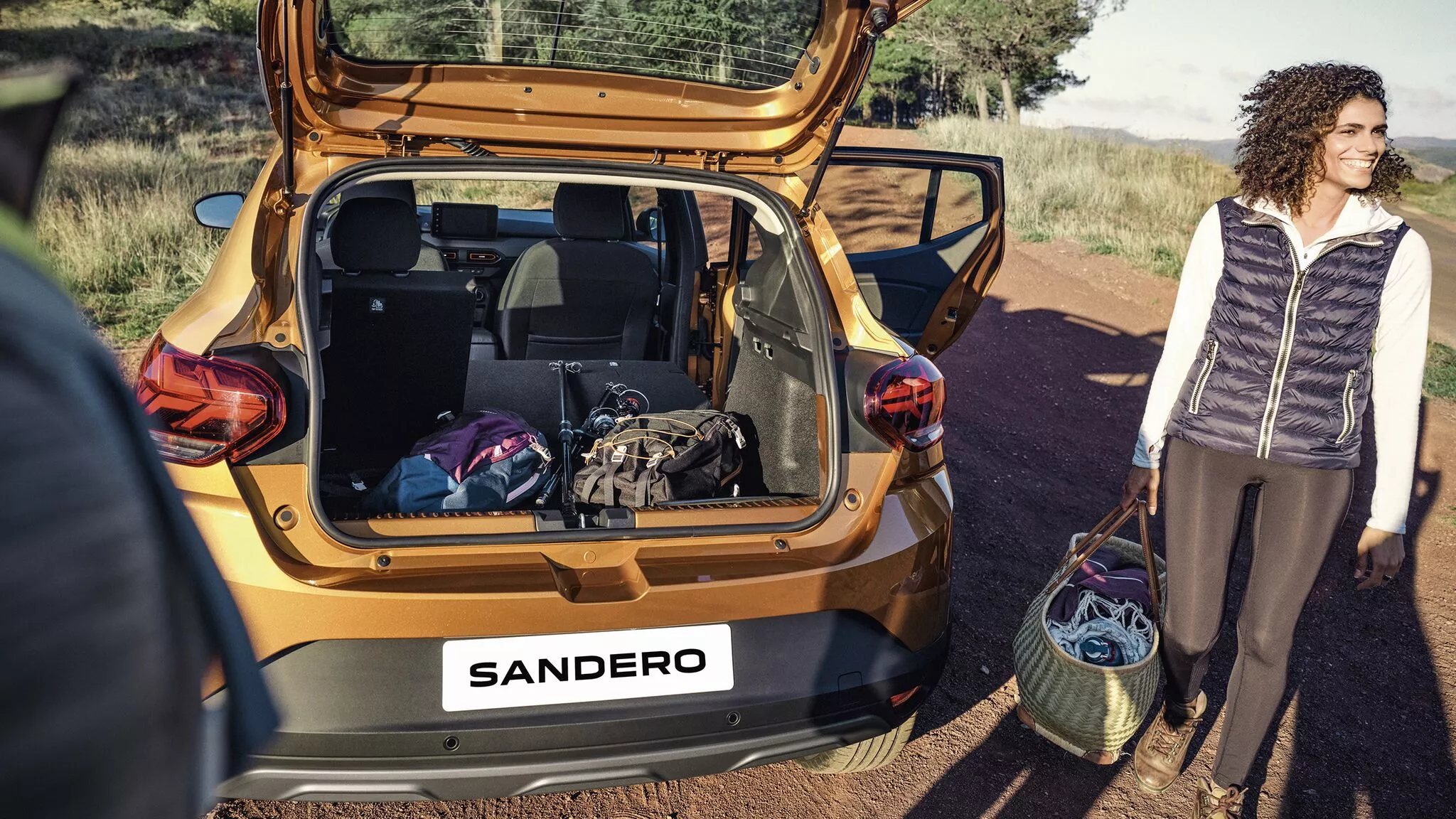 Sandero Stepway – SUV & Crossover – Dacia
